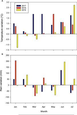 Cajanus cajan: a promissory high-nitrogen fixing cover crop for Uruguay